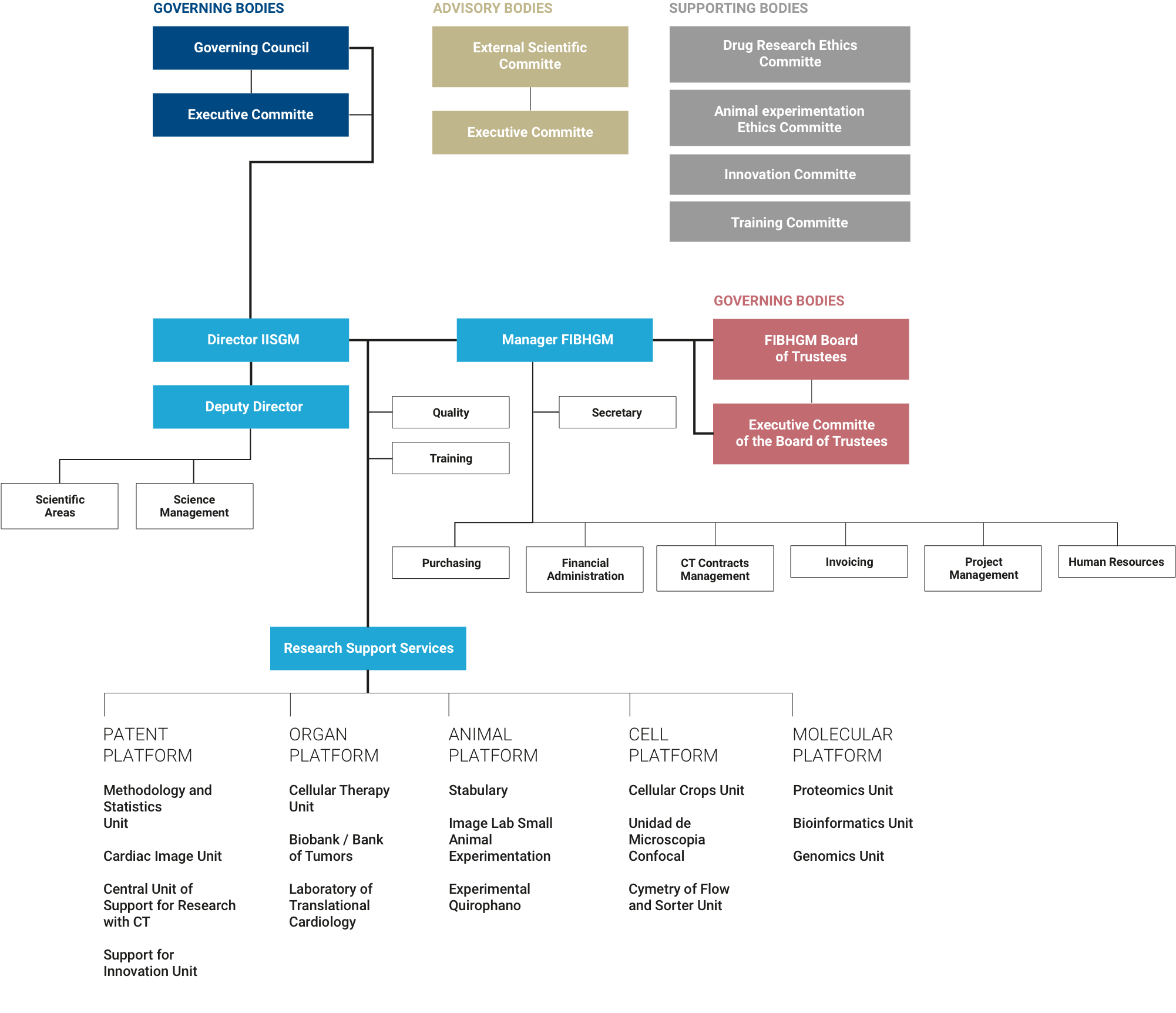 Estructura del IISGM